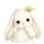 Зайка